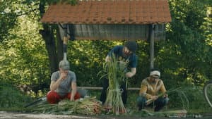 DZIDZIO: Павук — foto 5