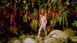 Heliconia — foto 2