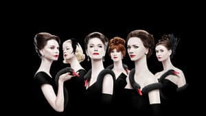FEUD — foto 4