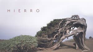 Hierro — foto 3