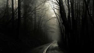 Screamwalkers — foto 1