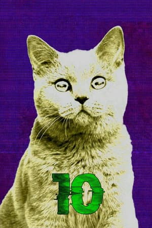 Temporada 10