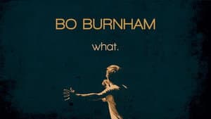 Bo Burnham: What. — foto 6