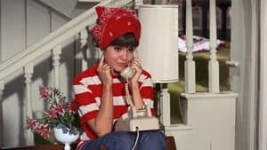Gidget — foto 9