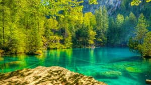 La Suisse des lacs — foto 3