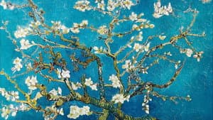 Cartas de Van Gogh — foto 8