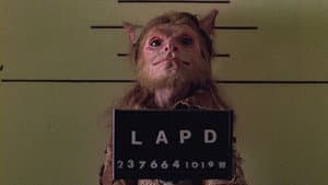 Gnomo Cop — foto 3