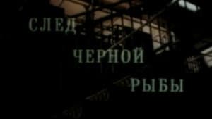 Кодекс молчания 2. След чёрной рыбы — foto 1
