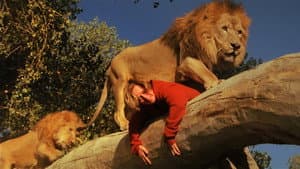 Roar — foto 3