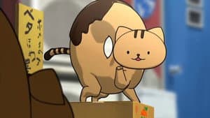Episodio 11