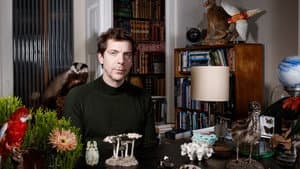 Dr. Nasr's Wunderkammer — foto 1