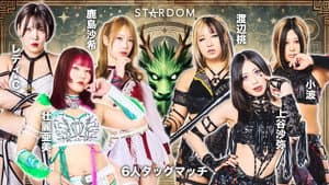 STARDOM in FUKUSHIMA 2025 Jul.～壮麗亜美凱旋～ — foto 1