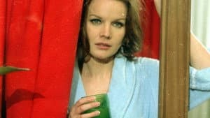 L'Harem — foto 4