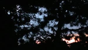 storm — foto 5