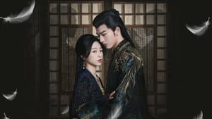 云之羽 — foto 12