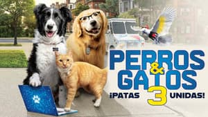 Como perros y gatos 3: Patitas unidas — foto 12