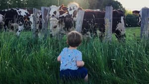Faut-il arrêter de manger les animaux ? — foto 1