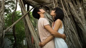 2つ目の窓 — foto 11