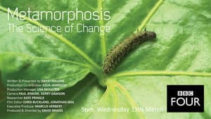 Metamorphosis: The Science of Change — foto 1