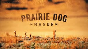 Prairie Dog Manor — foto 2