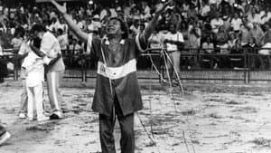 A Raça Síntese de Joãosinho Trinta — foto 1