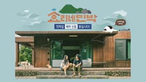 효리네 민박 — foto 5