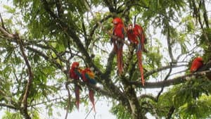 Weltnaturerbe Costa Rica: Guancaste Nationalpark — foto 1
