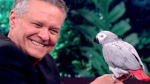 Episodio 8