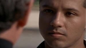 The Absolution of Anthony — foto 3