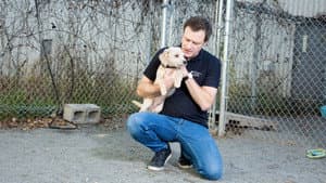 Refuge animal — foto 6