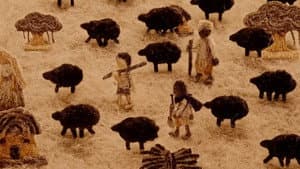Desi Wool — foto 2