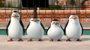 The Penguins of Madagascar: New to the Zoo — foto 1
