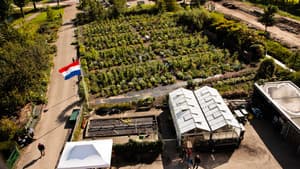 De schooltuin — foto 1