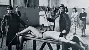 La svastica nel ventre — foto 1
