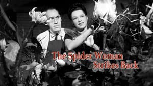 The Spider Woman Strikes Back — foto 2