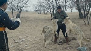 Animality — foto 1
