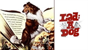 Lad: A Dog — foto 1