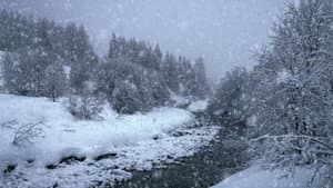 Neige — foto 1