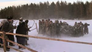Полумгла — foto 2