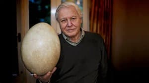 Attenborough and the Giant Egg — foto 2