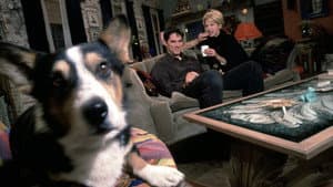 Dharma & Greg — foto 7