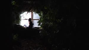 Feral — foto 3