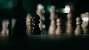 Pawns — foto 5