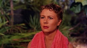 South Pacific — foto 11