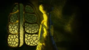 L'amante — foto 2