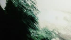 Chimera — foto 2