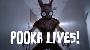 Pooka vive — foto 3