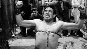 La strada — foto 6
