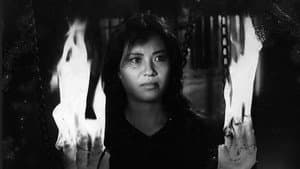 Nổi gió — foto 1