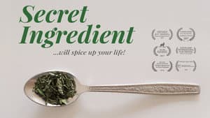 El Ingrediente Secreto — foto 2
